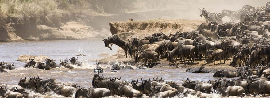 Nairobi : Circuit privé de 5 jours au Maasai Mara, à Nakuru et à Naivasha