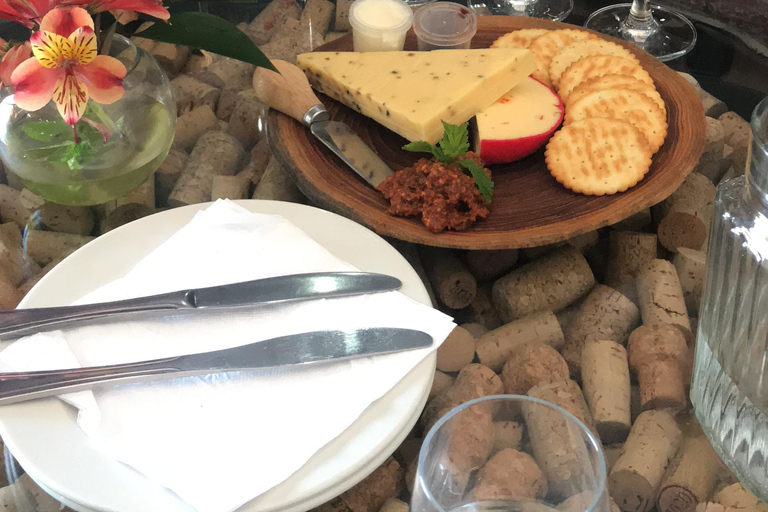 Cheetah, Giraffes Encounter, lion's park, and Wine Tasting