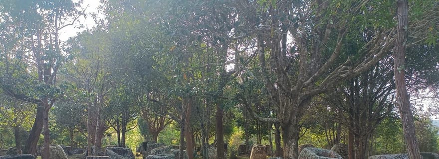 Visite privée de la plaine des Jarres