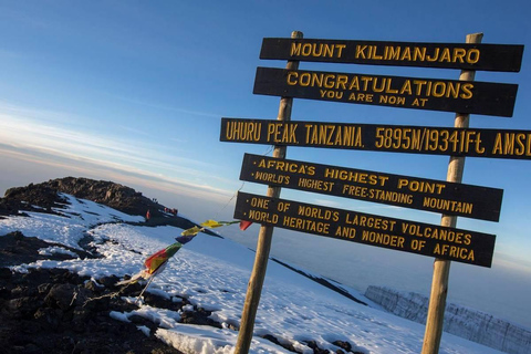 Beste Kilimanjaro dagwandeling - Machame Route - Zara Tours