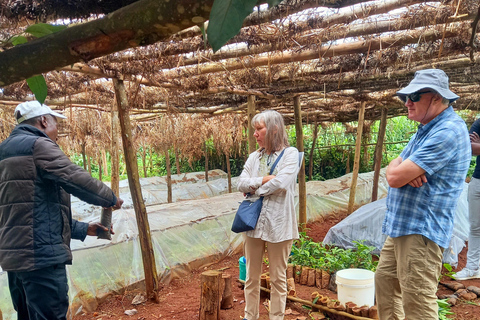 Nairobi: excursão de meio dia a uma fazenda de chá com almoço e degustação de chá.Nairóbi: Passeio de meio dia para tomar chá com almoço e degustação de chá.