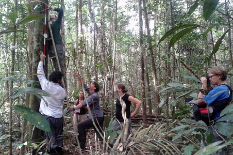 Supervivencia en la jungla