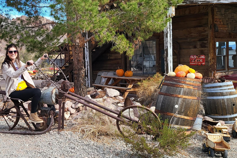 Las Vegas : Visite d&#039;une jounée en quad/RZR dans le cadre de l&#039;aventure du vieil OuestExcursion en VTT monoplace
