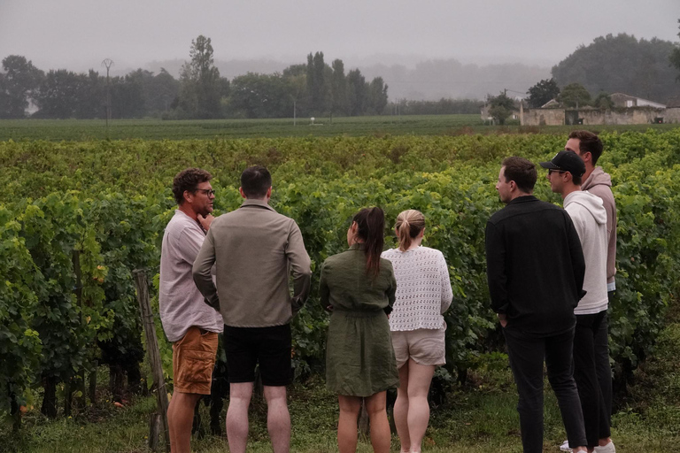 Bordeaux: St. Emilion wijn- en e-biketour met lunch