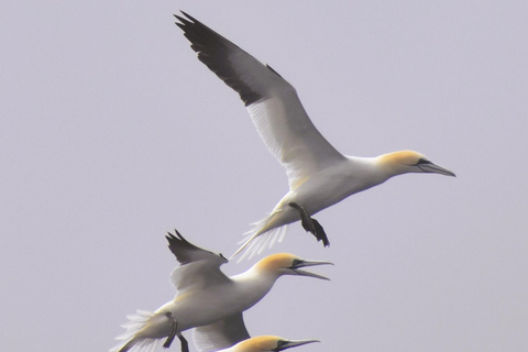 New: Into the Wild - 3H w/Marine Biologists - dolphins &more