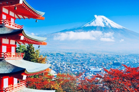 1 Day Mount Fuji & Hakone Private Tour – With English Guide