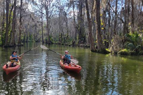 From Orlando: Wild Florida Kayak Tour on the Dora Canal