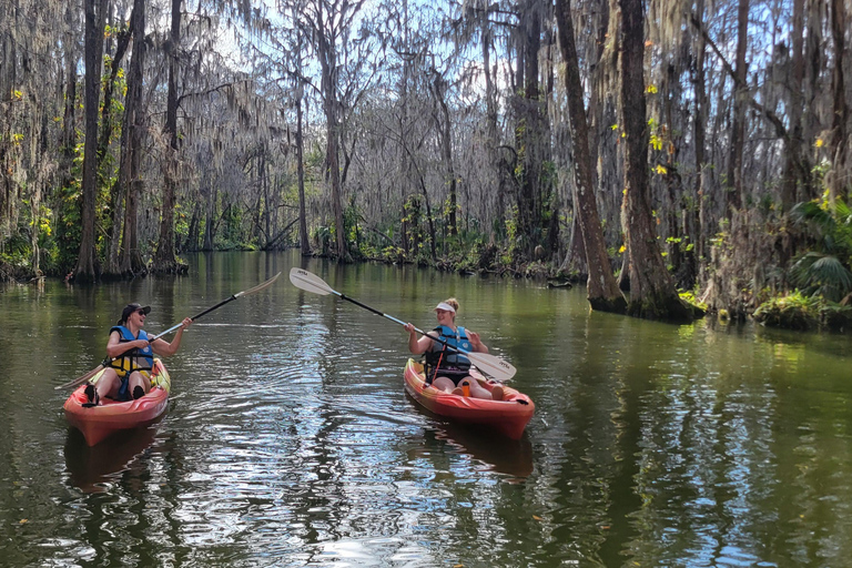 From Orlando: Wild Florida Kayak Tour on the Dora Canal
