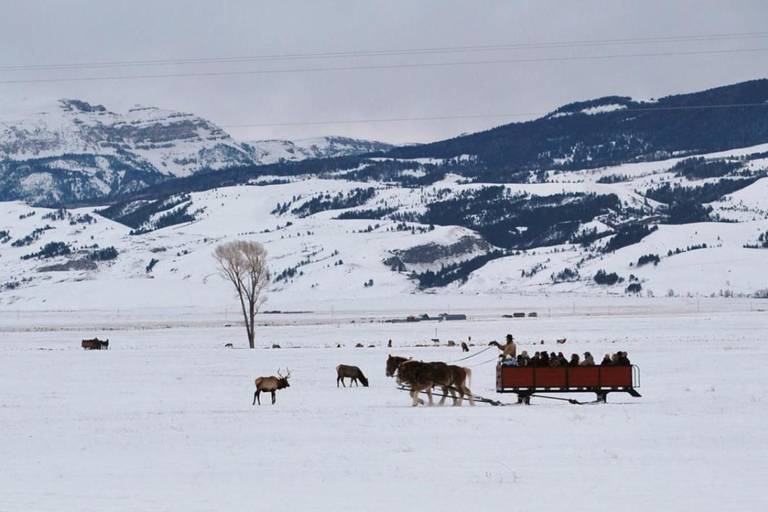 Jackson Hole: National Elk Refuge Sleigh Ride