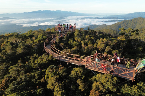 Kota Kinabalu: Maragang Hill Sunrise Hike Day Tour