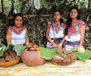 Oaxaca: Crafts & Cuisine Culture Tour