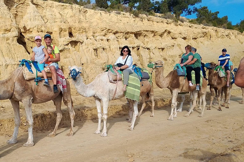 Hammamet: Combo Horse and Camel Ride in Nature Hammamamet: Combo Horse and Camel Ride in Nature