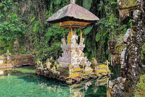 Ubud: Private Tour with Gunung Kawi Temple & Waterfall With Entry Tickets