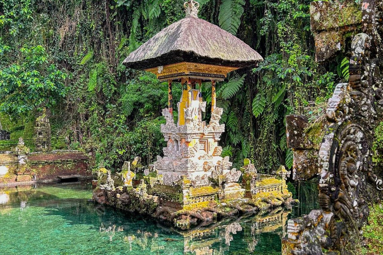 Ubud: Private Tour with Gunung Kawi Temple & Waterfall With Entry Tickets