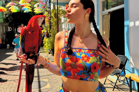 Puerto Plata: Horseback Ride, City Tour, and Coffee Tasting