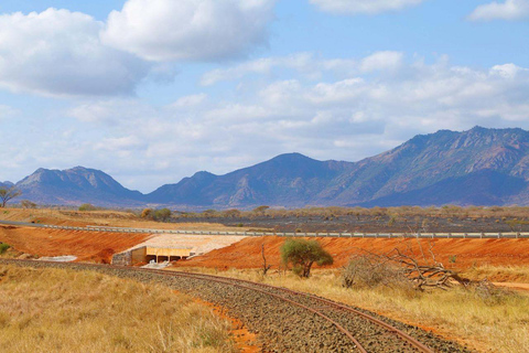 Overnight Safari to Saltlick Safari Lodge from Mombasa/Diani