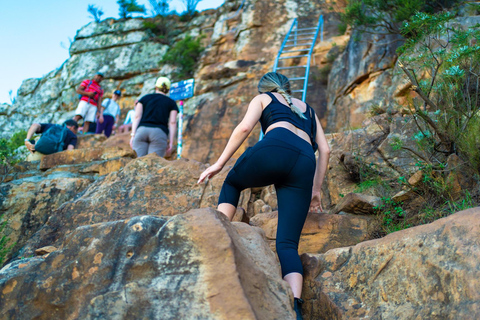 Cape Town: Lion's Head Hike with a Content Creator