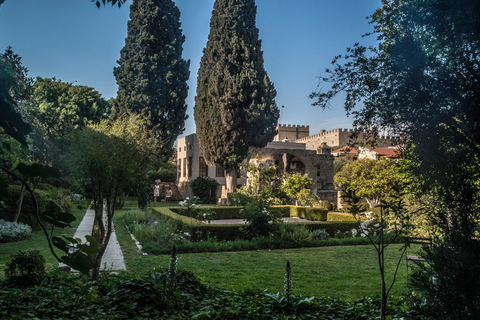 Rhodos Oude Stad Wandeltour in kleine groep met gidstickets voor wandeltours