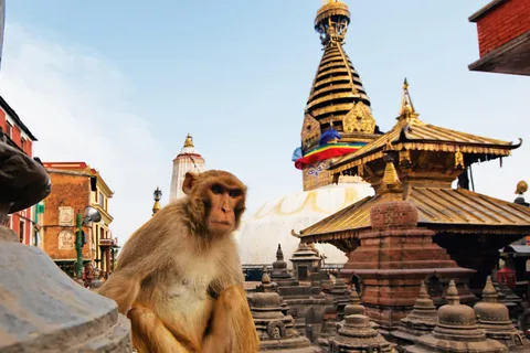 Exploring Kathmandu:Private Chandragiri & Swayambhunath Tour