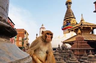 Kathmandu erkunden: Private Chandragiri & Swayambhunath Tour