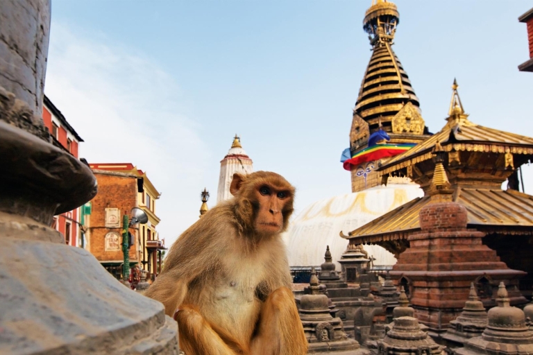 Odkrywanie Katmandu: prywatna wycieczka do Chandragiri i Swayambhunath