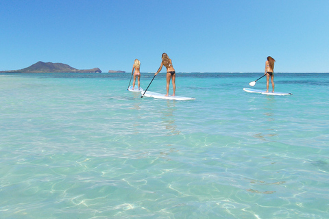 Oahu: Kailua Stand Up Paddle Board lektionKailua: 2,5 timmars SUP-lektion