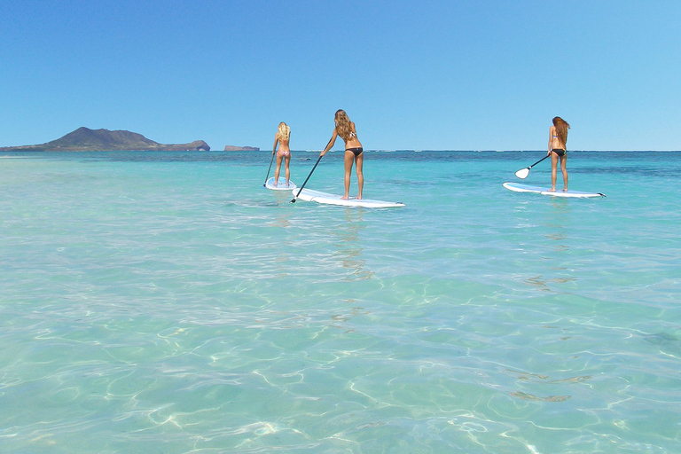 Oahu: Kailua Stand Up Paddle Board lektionKailua: 2,5 timmars SUP-lektion