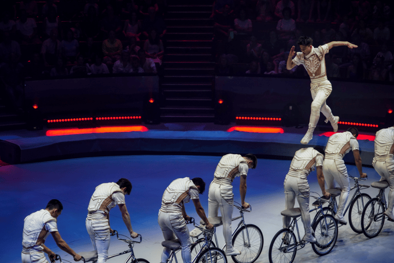 Beijing Red Theatre Kung Fu Acrobatic Show Pre-Booked Ticket 11-13 Row