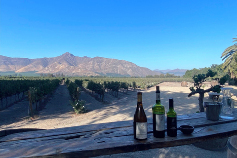 Santiago: Private Inca Lake and Alpaca Farm or Vineyard