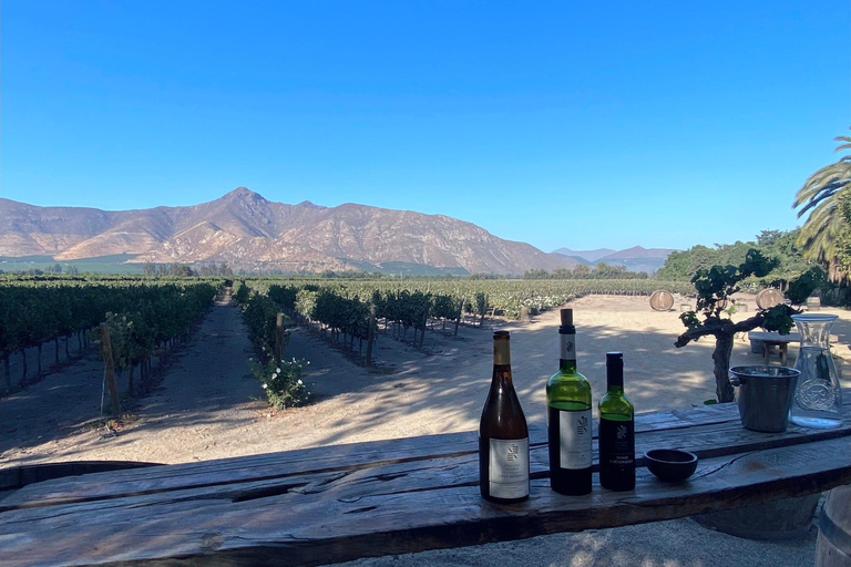 Santiago: Private Inca Lake and Alpaca Farm or Vineyard