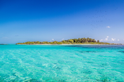 Całodniowa wyprawa przyrodnicza na wyspę Contoy i Isla Mujeres