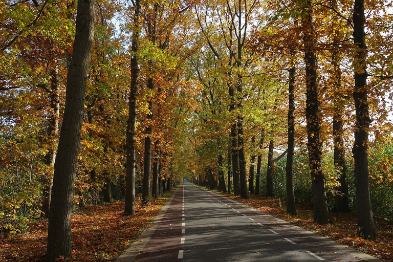 Private Tour Veluwe National Park and Kröller Müller Museum