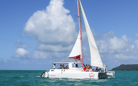  - Canarie.it