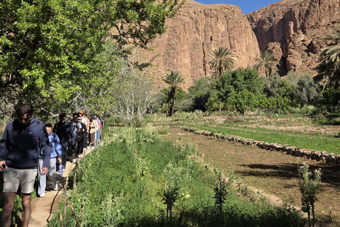 Marrakesh: Sahara Desert Tour From Marrakech 3D2N & Glamping Private Luxury Tour