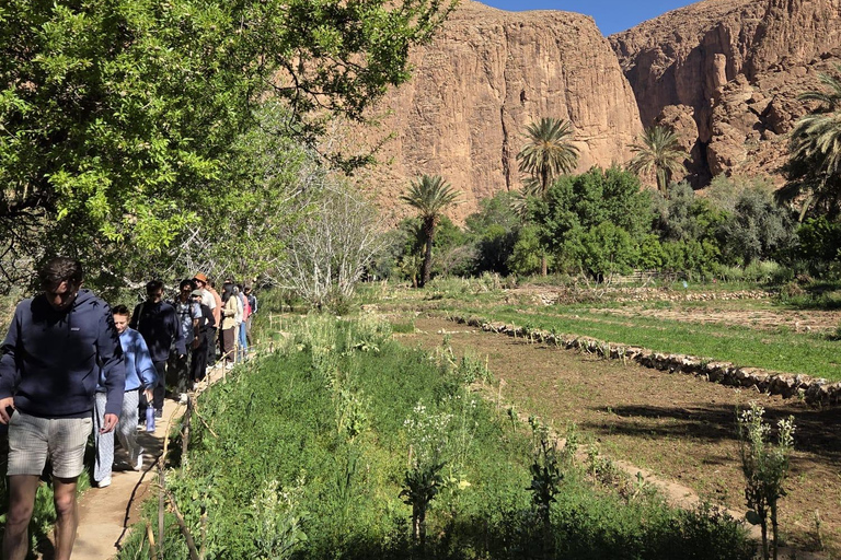 Marrakesh: Sahara Desert Tour From Marrakech 3D2N & Glamping Private Luxury Tour