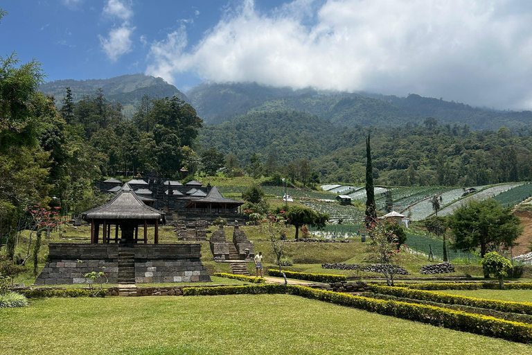 Yogyakarta : Surakarta + świątynia Sukuh + świątynia Cetho + przewodnik