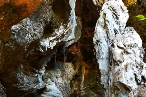 Tour in Labuan Bajo City One Full Day Including Out of Town Travel