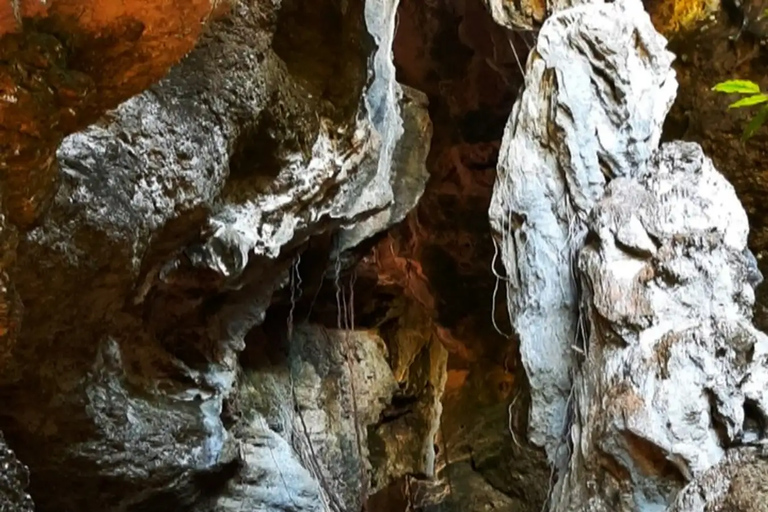 Tour in Labuan Bajo City One Full Day Including Out of Town Travel