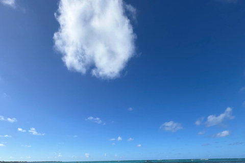 San Juan: El Yunque Regenwaldwanderung &amp; Luquillo BeachSan Juan: Wanderung durch den Regenwald El Yunque &amp; Luquillo Beach