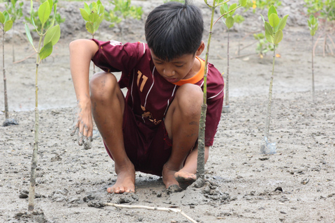 Bagek Kembar: Mangrove & Stingless Beekeeping Experience