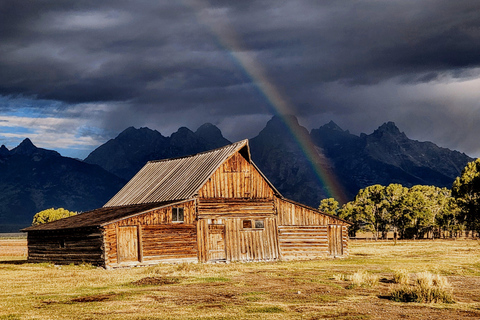 Jackson: Grand Teton & Yellowstone Private Van Tour
