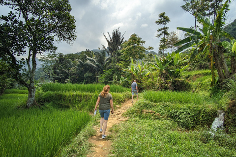 Bandung Countryside Tour: Waterfall, Rice Fields &amp; Culture