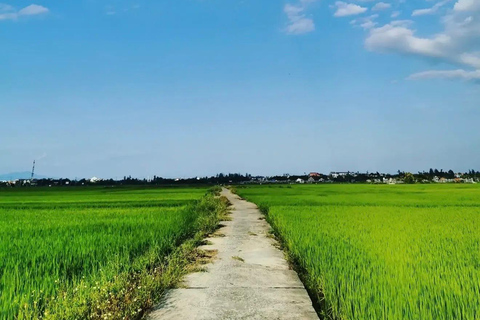 Hanoi Countryside Bike Tour: Rice Fields & Snake Village