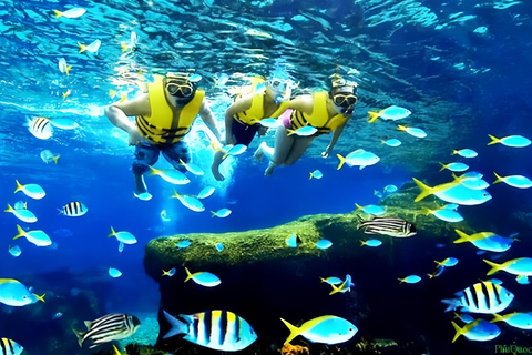 Visita às ilhas Cham e mergulho com snorkel e autônomoExcursão em grupo