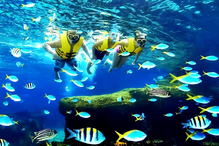 Visita às ilhas Cham e mergulho com snorkel e autônomoExcursão em grupo