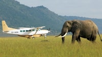 9 dagen beste van Kenia Wildlife luxe safari met vluchten - Housity