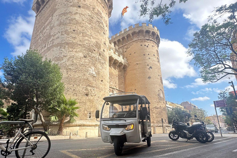 Valencia: Tour Histórico en Tuk Tuk 1H