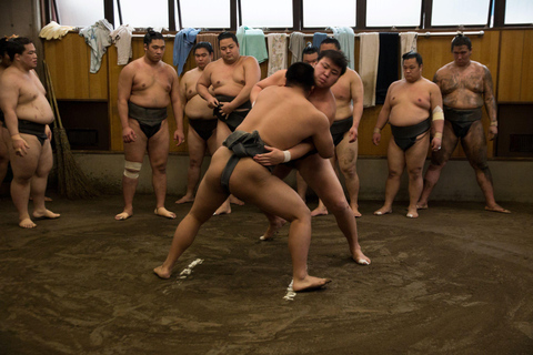 Tokio: Sumo-Morgen-TrainingsbesichtigungstourTokio: Besuch beim Morgentraining von Sumo-Ringern