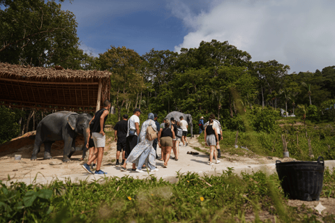 Phuket : visite privée des temps forts de la ville et sanctuaire des éléphants