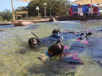 Anna Bay: Irukandji Entry + Coastal Currents Snorkel